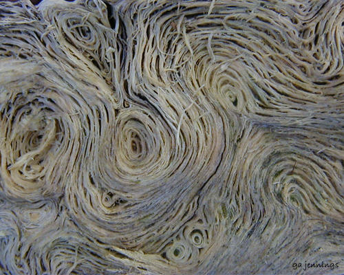 nature-wabi-sabi-1.jpg