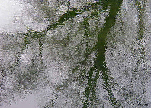 pondscapes1.jpg
