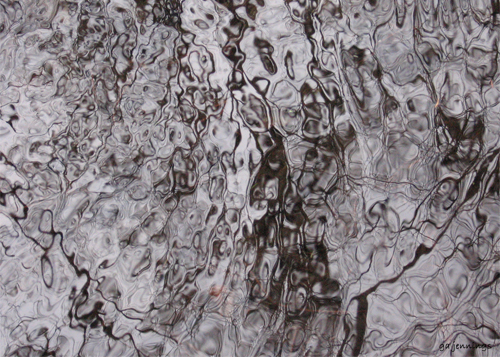 pondscapes10.jpg