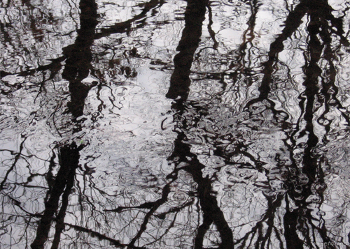 pondscapes12.jpg