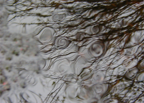 pondscapes3.jpg
