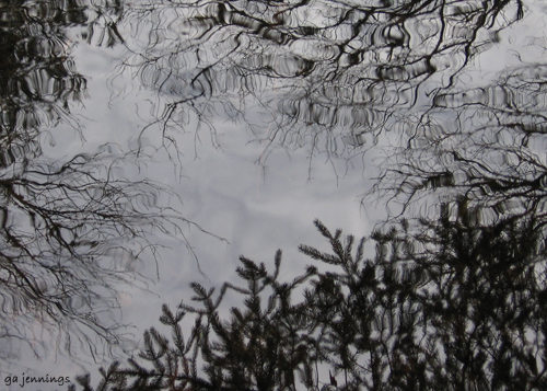 pondscapes5.jpg