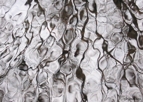 pondscapes6.jpg