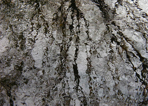 pondscapes8.jpg