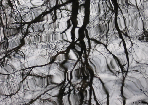 pondscapes9.jpg